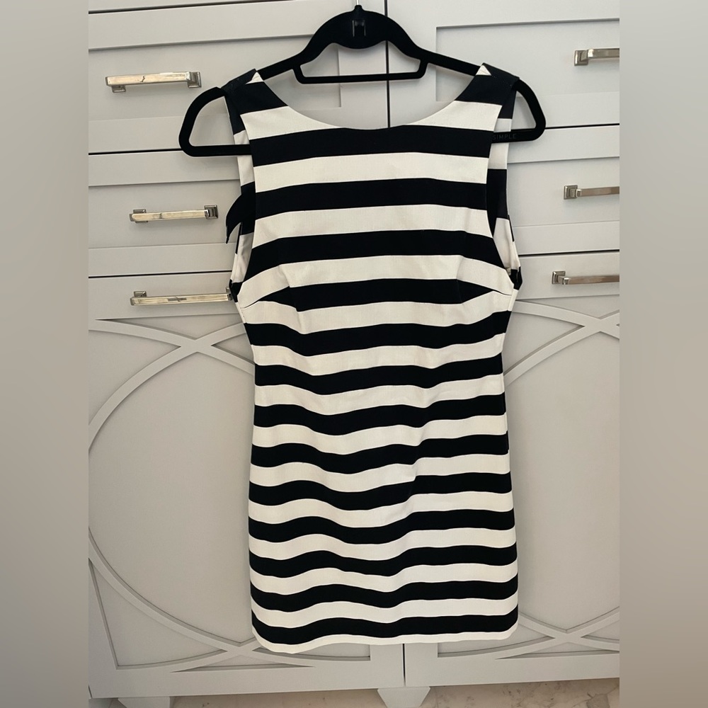 Alice and Olivia striped dress